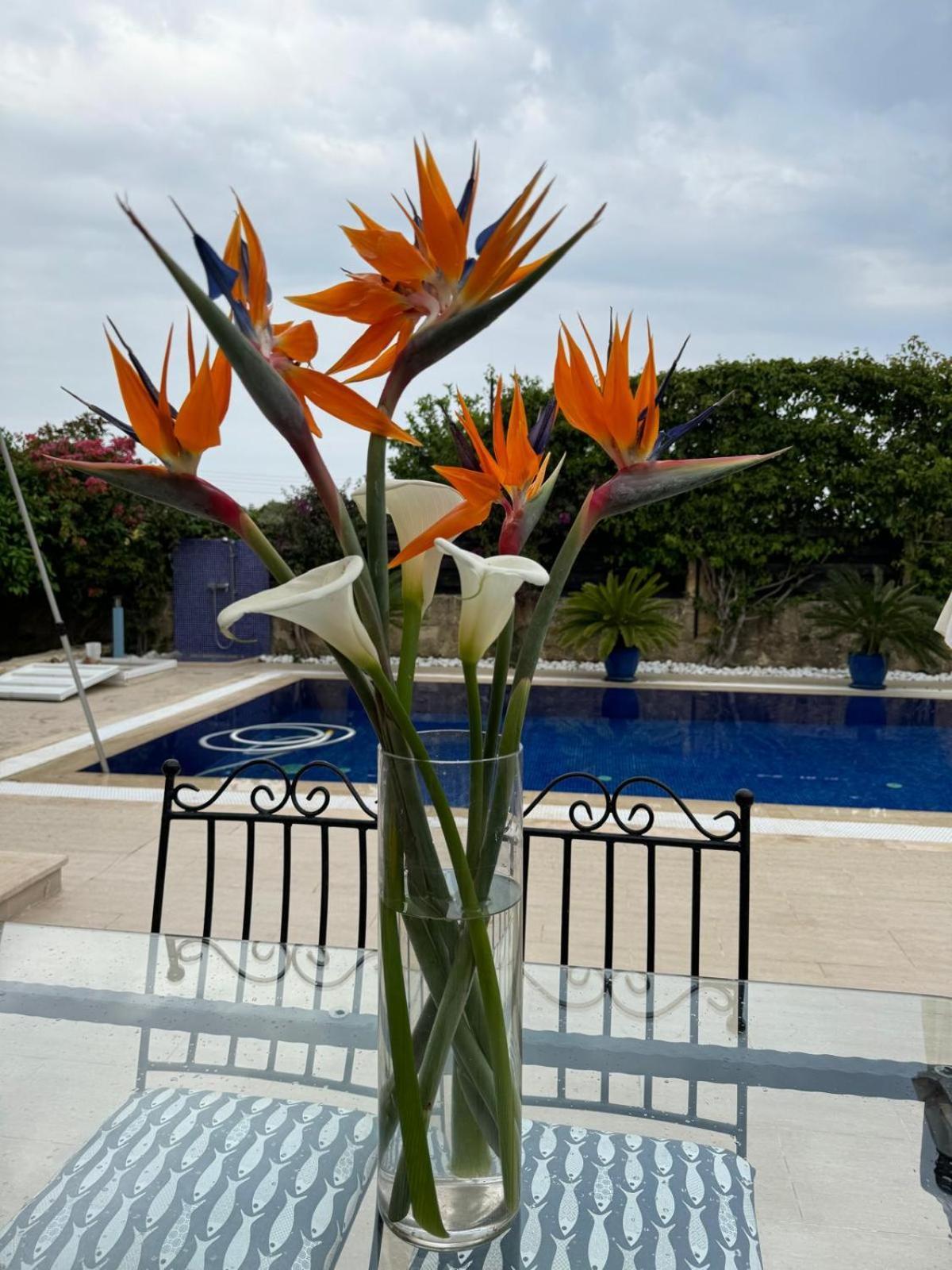 Casa Santos Kyrenia Villa Kyrenia  Ngoại thất bức ảnh
